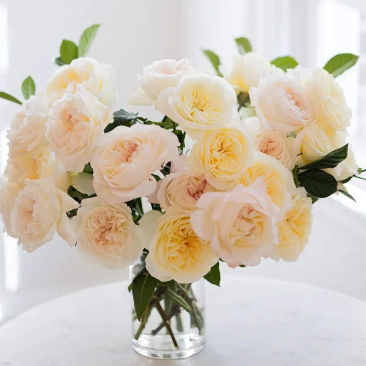 TheManasquanFlorist_arrangements_image_13