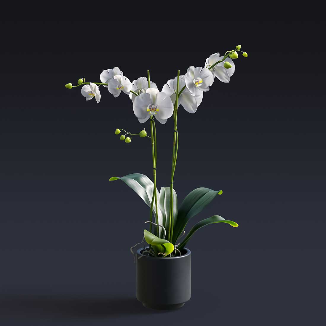 TheManasquanFlorist_garden_image_2