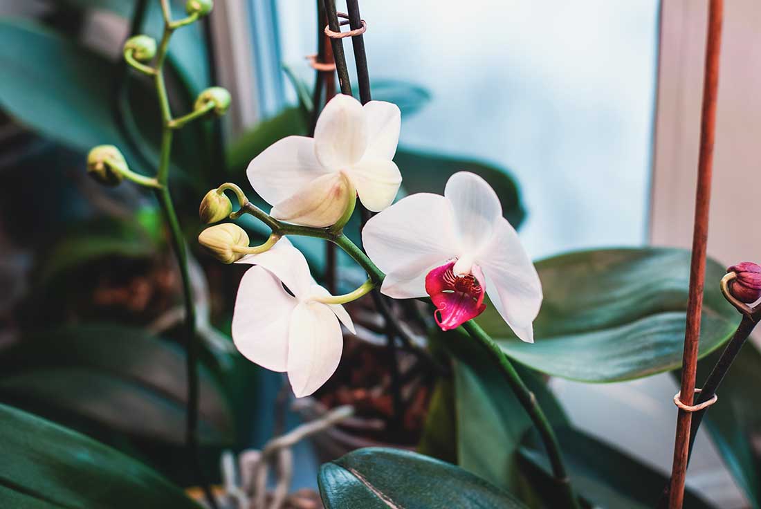 TheManasquanFlorist_garden_image_1